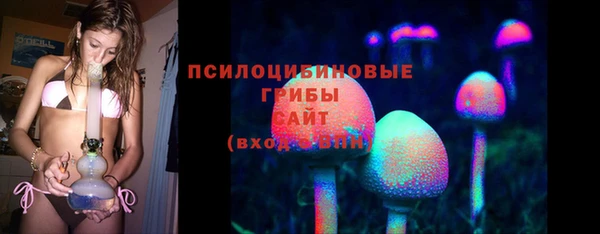 стаф Михайлов