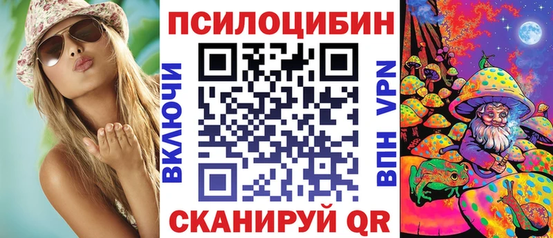где найти   Болгар  Галлюциногенные грибы мицелий 