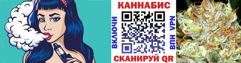 Бошки Шишки планчик  Болгар 